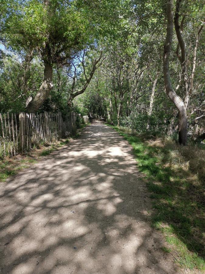 Griad In De Duinen De Haan Luaran gambar